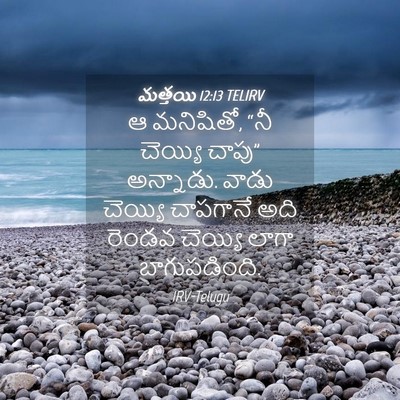 Picture 04 - మత్తయి 12:13 TELIRV - ఆ మనిషితో, “నీ - Bible Verse Picture