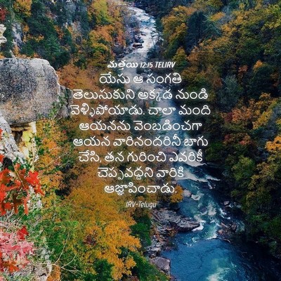 Picture 04 - మత్తయి 12:15 TELIRV - యేసు ఆ సంగతి - Bible Verse Picture