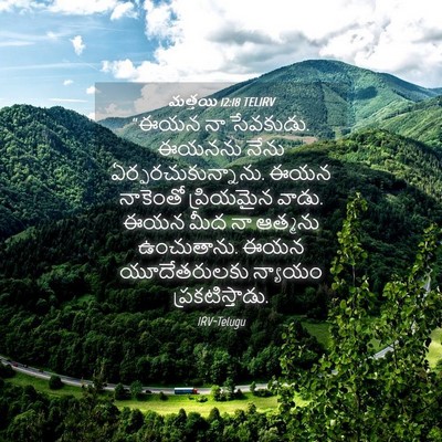 Picture 04 - మత్తయి 12:18 TELIRV - “ఈయన నా సేవకుడు. - Bible Verse Picture