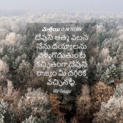 Picture 04 - మత్తయి 12:28 TELIRV - దేవుని ఆత్మ వలన - Bible Verse Picture