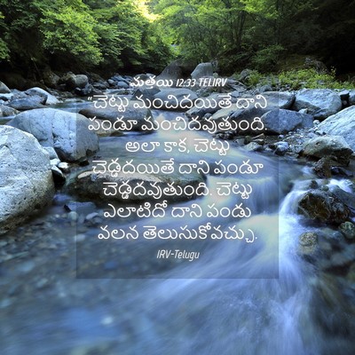 Picture 04 - మత్తయి 12:33 TELIRV - “చెట్టు మంచిదయితే - Bible Verse Picture