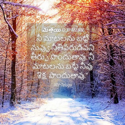 Picture 04 - మత్తయి 12:37 TELIRV - నీ మాటలను బట్టి - Bible Verse Picture