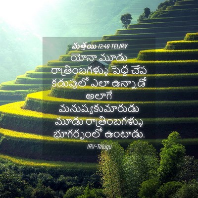 Picture 04 - మత్తయి 12:40 TELIRV - యోనా మూడు - Bible Verse Picture