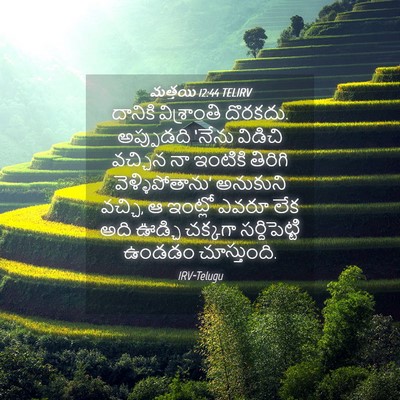 Picture 04 - మత్తయి 12:44 TELIRV - దానికి విశ్రాంతి - Bible Verse Picture