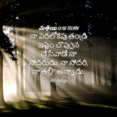 Picture 04 - మత్తయి 12:50 TELIRV - నా పరలోకపు తండ్రి - Bible Verse Picture