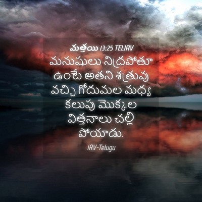 Picture 04 - మత్తయి 13:25 TELIRV - మనుషులు నిద్రపోతూ - Bible Verse Picture