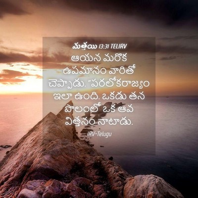 Picture 04 - మత్తయి 13:31 TELIRV - ఆయన మరొక ఉపమానం - Bible Verse Picture