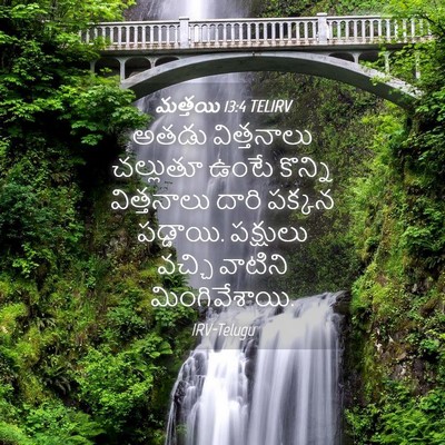 Picture 04 - మత్తయి 13:4 TELIRV - అతడు విత్తనాలు - Bible Verse Picture