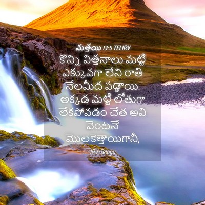 Picture 04 - మత్తయి 13:5 TELIRV - కొన్ని విత్తనాలు - Bible Verse Picture