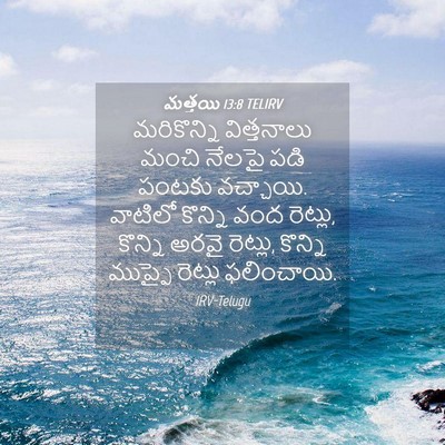 Picture 04 - మత్తయి 13:8 TELIRV - మరికొన్ని - Bible Verse Picture