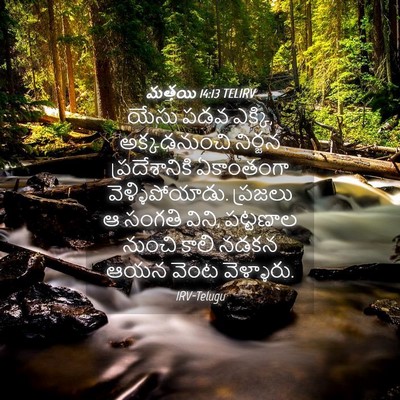 Picture 04 - మత్తయి 14:13 TELIRV - యేసు పడవ ఎక్కి, - Bible Verse Picture