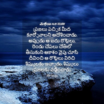 Picture 04 - మత్తయి 14:19 TELIRV - ప్రజలు పచ్చిక మీద - Bible Verse Picture