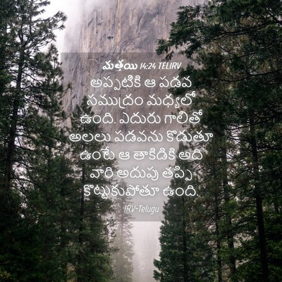 Picture 04 - మత్తయి 14:24 TELIRV - అప్పటికి ఆ పడవ - Bible Verse Picture