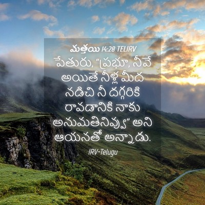 Picture 04 - మత్తయి 14:28 TELIRV - పేతురు, “ప్రభూ, - Bible Verse Picture