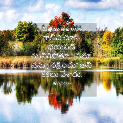 Picture 04 - మత్తయి 14:30 TELIRV - గాలిని చూసి భయపడి - Bible Verse Picture