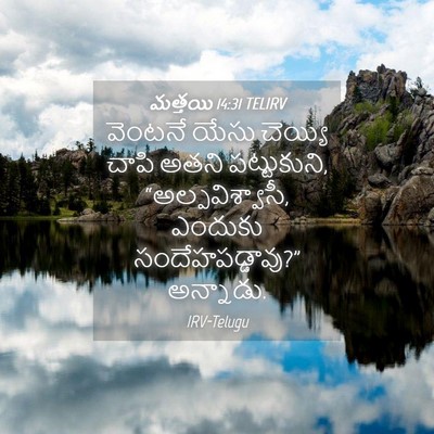 Picture 04 - మత్తయి 14:31 TELIRV - వెంటనే యేసు - Bible Verse Picture