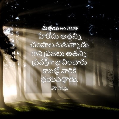 Picture 04 - మత్తయి 14:5 TELIRV - హేరోదు అతన్ని - Bible Verse Picture