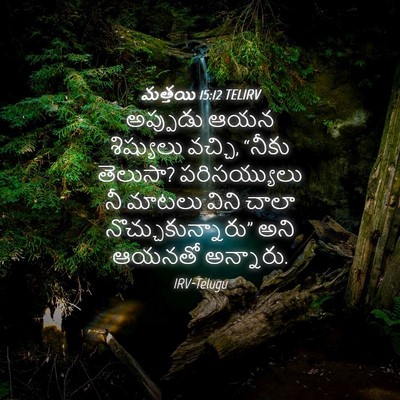 Picture 04 - మత్తయి 15:12 TELIRV - అప్పుడు ఆయన - Bible Verse Picture
