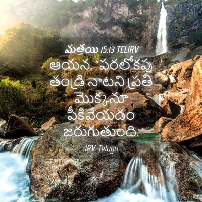 Picture 04 - మత్తయి 15:13 TELIRV - ఆయన, “పరలోకపు - Bible Verse Picture