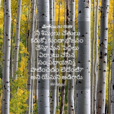 Picture 04 - మత్తయి 15:2 TELIRV - “నీ శిష్యులు - Bible Verse Picture