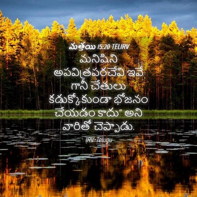 Picture 04 - మత్తయి 15:20 TELIRV - మనిషిని - Bible Verse Picture