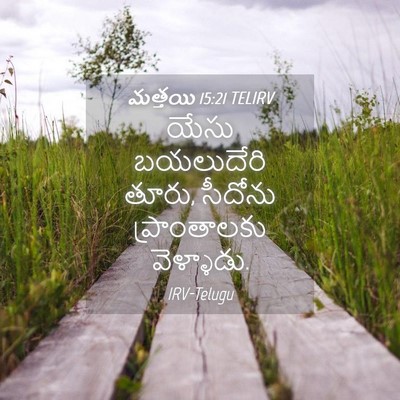 Picture 04 - మత్తయి 15:21 TELIRV - యేసు బయలుదేరి - Bible Verse Picture