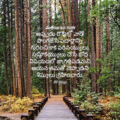 Picture 04 - మత్తయి 16:12 TELIRV - అప్పుడు - Bible Verse Picture