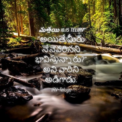 Picture 04 - మత్తయి 16:15 TELIRV - “అయితే మీరు - Bible Verse Picture
