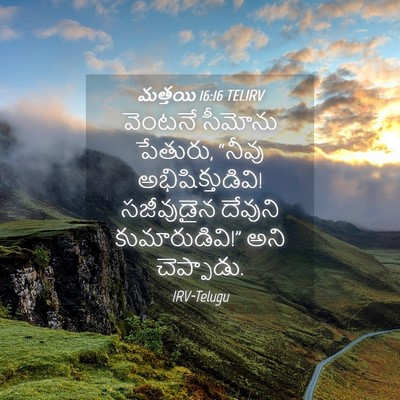 Picture 04 - మత్తయి 16:16 TELIRV - వెంటనే సీమోను - Bible Verse Picture
