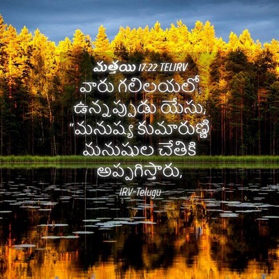Picture 04 - మత్తయి 17:22 TELIRV - వారు గలిలయలో - Bible Verse Picture