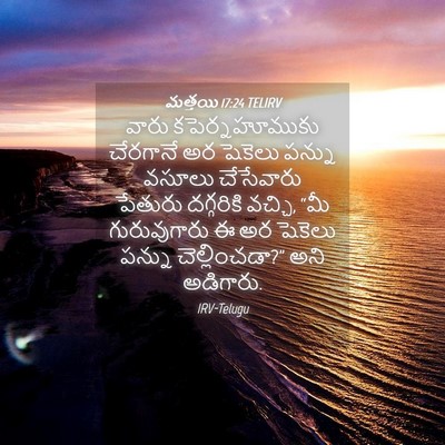 Picture 04 - మత్తయి 17:24 TELIRV - వారు కపెర్నహూముకు - Bible Verse Picture