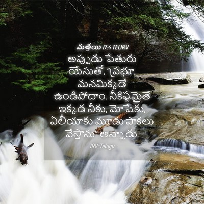 Picture 04 - మత్తయి 17:4 TELIRV - అప్పుడు పేతురు - Bible Verse Picture