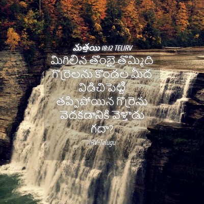 Picture 04 - మత్తయి 18:12 TELIRV - మిగిలిన తొంభై - Bible Verse Picture