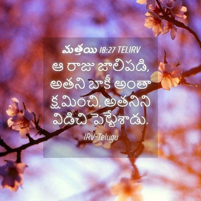 Picture 04 - మత్తయి 18:27 TELIRV - ఆ రాజు జాలిపడి, - Bible Verse Picture