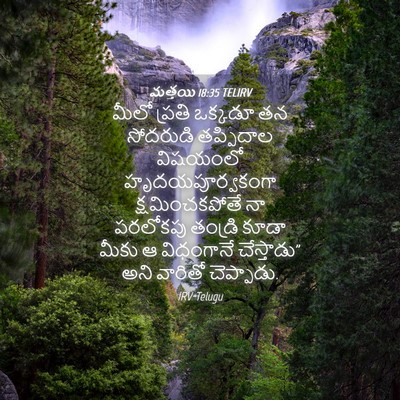 Picture 04 - మత్తయి 18:35 TELIRV - మీలో ప్రతి ఒక్కడూ - Bible Verse Picture