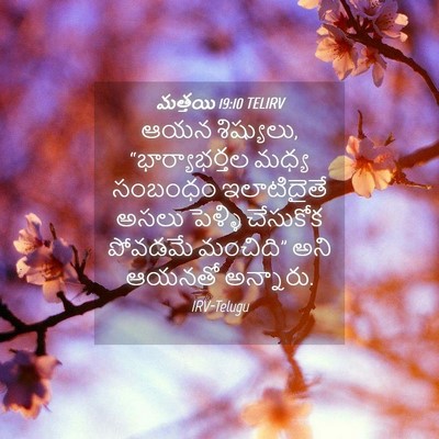 Picture 04 - మత్తయి 19:10 TELIRV - ఆయన శిష్యులు, - Bible Verse Picture