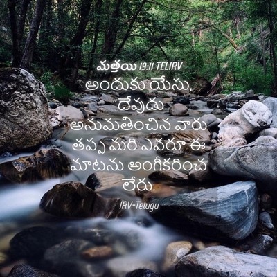 Picture 04 - మత్తయి 19:11 TELIRV - అందుకు యేసు, - Bible Verse Picture