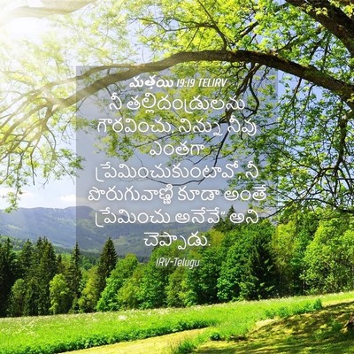 Picture 04 - మత్తయి 19:19 TELIRV - నీ తల్లిదండ్రులను - Bible Verse Picture