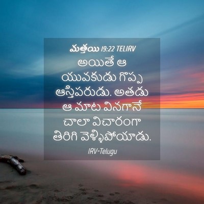 Picture 04 - మత్తయి 19:22 TELIRV - అయితే ఆ యువకుడు - Bible Verse Picture