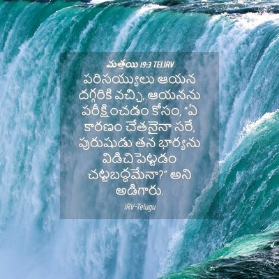 Picture 04 - మత్తయి 19:3 TELIRV - పరిసయ్యులు ఆయన - Bible Verse Picture