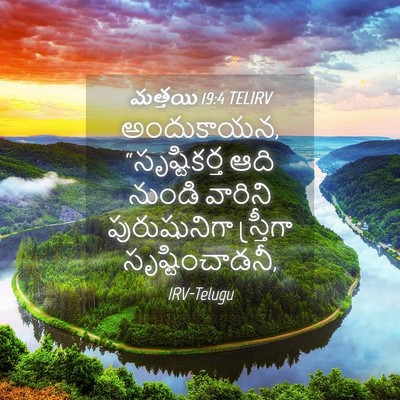 Picture 04 - మత్తయి 19:4 TELIRV - అందుకాయన, - Bible Verse Picture