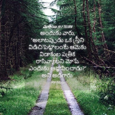 Picture 04 - మత్తయి 19:7 TELIRV - అందుకు వారు, - Bible Verse Picture