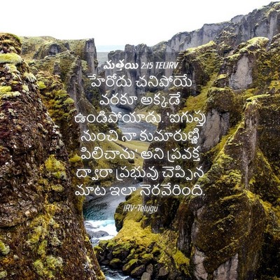 Picture 04 - మత్తయి 2:15 TELIRV - హేరోదు చనిపోయే - Bible Verse Picture
