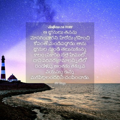 Picture 04 - మత్తయి 2:16 TELIRV - ఆ జ్ఞానులు తనను - Bible Verse Picture