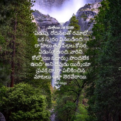 Picture 04 - మత్తయి 2:18 TELIRV - “ఏడుపు, రోదనలతో - Bible Verse Picture