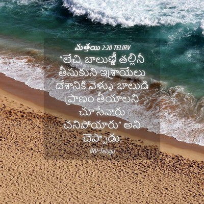 Picture 04 - మత్తయి 2:20 TELIRV - “లేచి, బాలుణ్ణీ - Bible Verse Picture