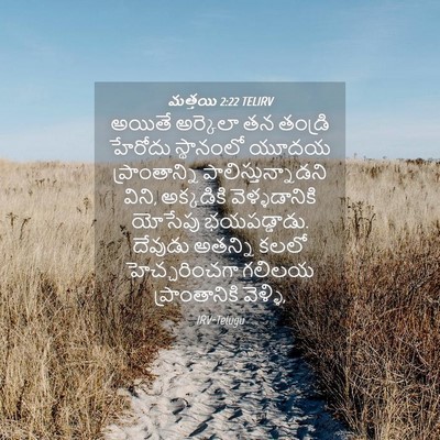 Picture 04 - మత్తయి 2:22 TELIRV - అయితే అర్కెలా తన - Bible Verse Picture