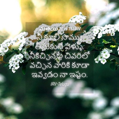 Picture 04 - మత్తయి 20:14 TELIRV - నీ కూలి సొమ్ము - Bible Verse Picture