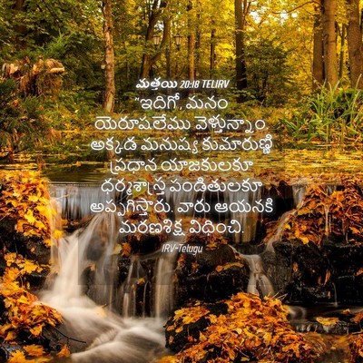 Picture 04 - మత్తయి 20:18 TELIRV - “ఇదిగో, మనం - Bible Verse Picture