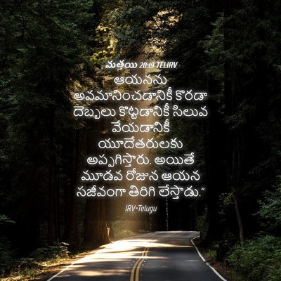 Picture 04 - మత్తయి 20:19 TELIRV - ఆయనను - Bible Verse Picture